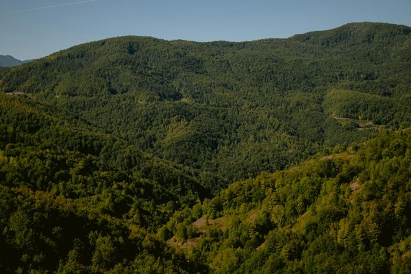 10 Conseils Cruciaux pour Maîtriser Votre Escape Game avec Brio